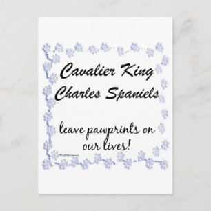 Cavalier Pawprints Postcard
