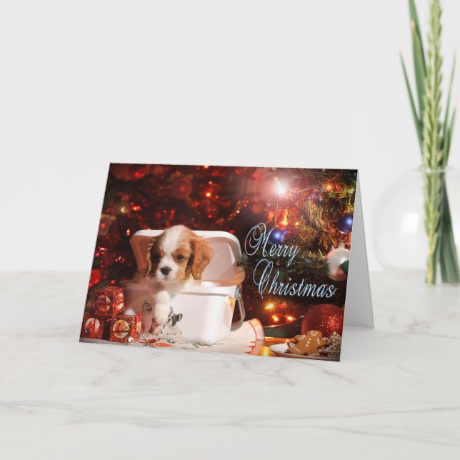 Cavalier puppy Christmas Card (Front)