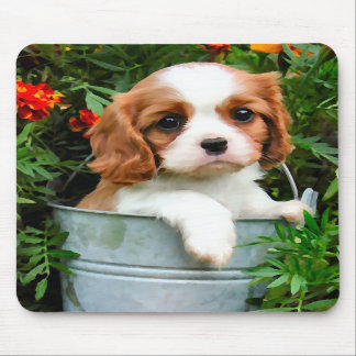 Cavalier Puppy Mousepad
