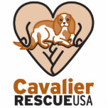 Cavalier Rescue USA Logo Standing Photo Sculpture<br><div class="desc">www.cavalierrescueusa.org</div>