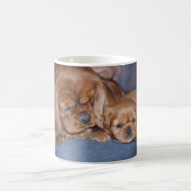 Cavalier Ruby Father & Son Coffee Mug (Center)