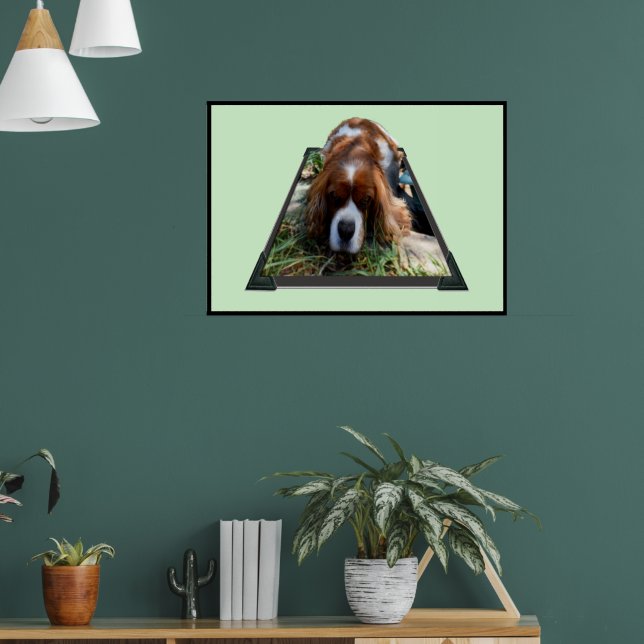 Cavalier Sooky Face Spaniel,  Poster (Living Room 1)