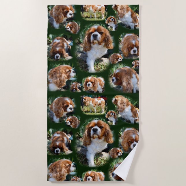 Cavalier Spaniel Collarge, Beach Towel (Front)