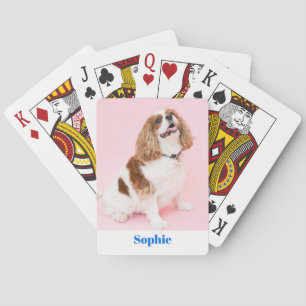 Cavalier Spaniel Dog or Your Photo, Blue Name Vs 2 Playing Cards