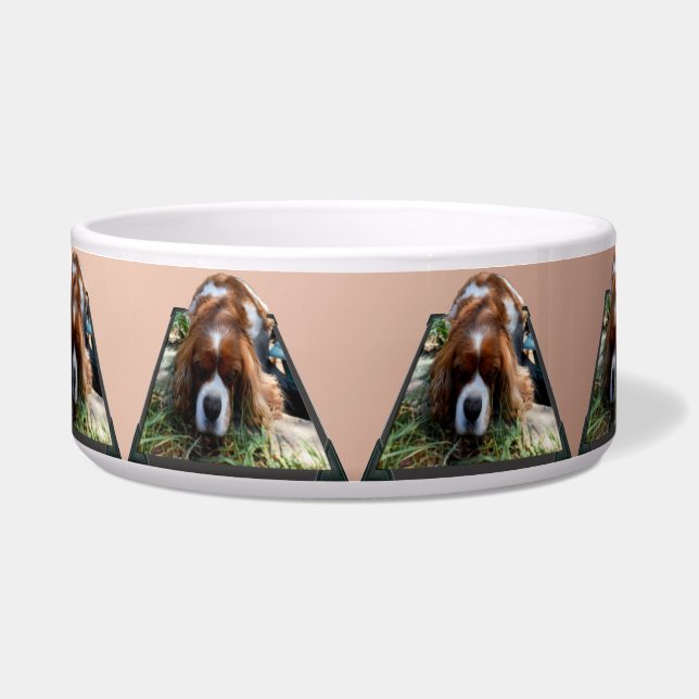 Cavalier Spaniel Popout Art,  (Front)