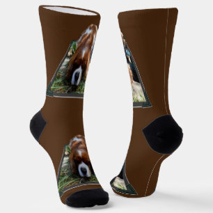 Cavalier Spaniel Popout Art, Crew Socks