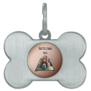 Cavalier Spaniel Popout Art, Pet ID Tag