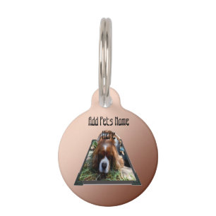 Cavalier Spaniel Popout Art, Pet Tag