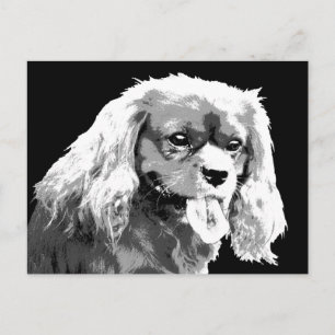 Cavalier spaniel postcard