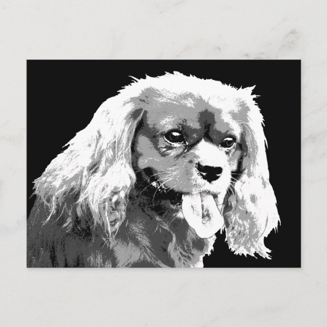 Cavalier spaniel postcard (Front)