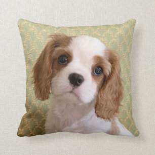 Cavalier Spaniel Puppy Throw Pillow