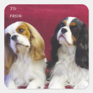 Cavalier Spaniels Gift Tag Stickers