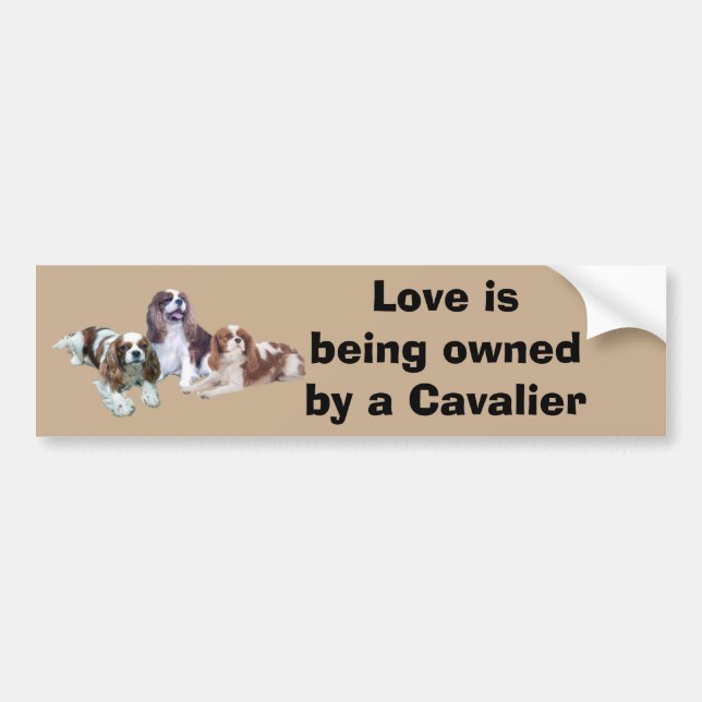 Cavalier Threesome Bumper Sticker (Front)