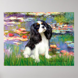 Cavalier (Tri Coloured 5) - Lilies 2 Poster