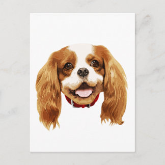 CavalierKingCharlesSpaniel_Epagneul face002 Postcard
