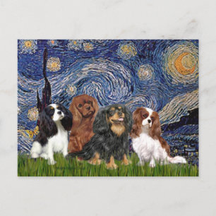 Cavaliers (four) - Starry Night Postcard