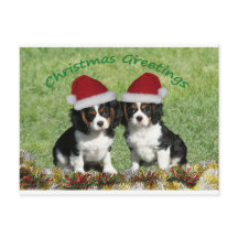 Cavaliers In Santa Hats