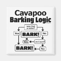Cavapoo Barking Logic