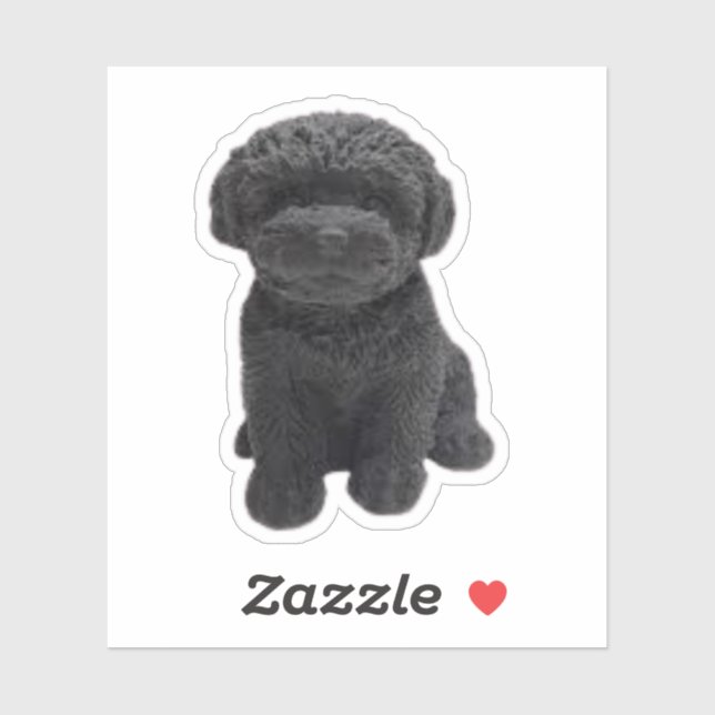  Cavapoo Cavoodle Cockerpoo Puppy black dog (Sheet)