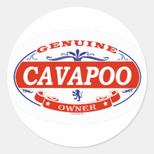 Cavapoo Classic Round Sticker