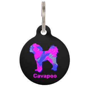 Cavapoo Crazy Hot Pink and Blue Pet Tag