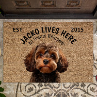Cavapoo Personalised Pet