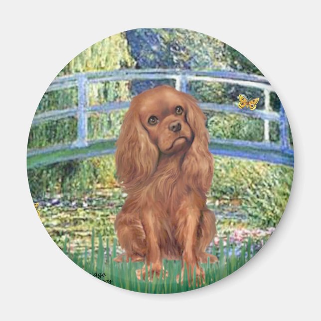 Cavavlier (Ruby7) - Bridge Magnet (Front)