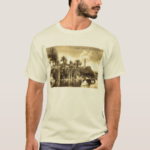 Cave Gardens, Nice France 1910 Vintage T-Shirt