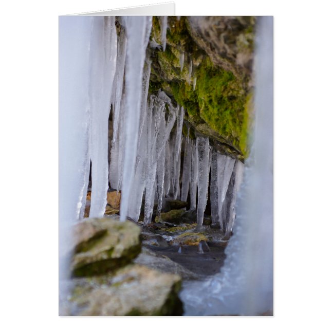 Cave Icicles (Front)