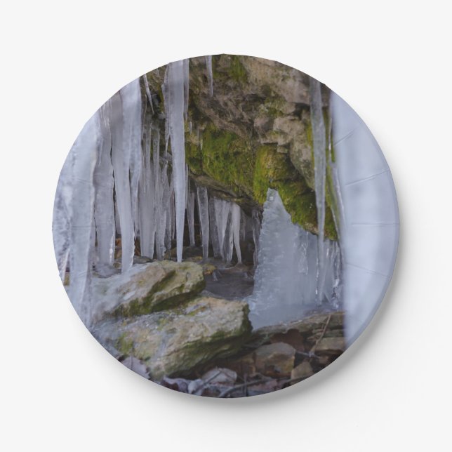 Cave Of Ice Paper Plate (Front)