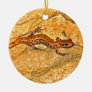 Cave Salamander Ceramic Tree Decoration