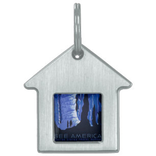 Caving Travel Cavern Vintage Travel Poster Pet Tag