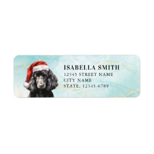 Cavoodle Return Address Labels