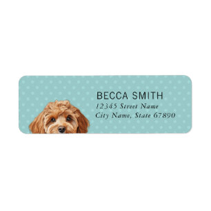 Cavoodle Return Address Labels