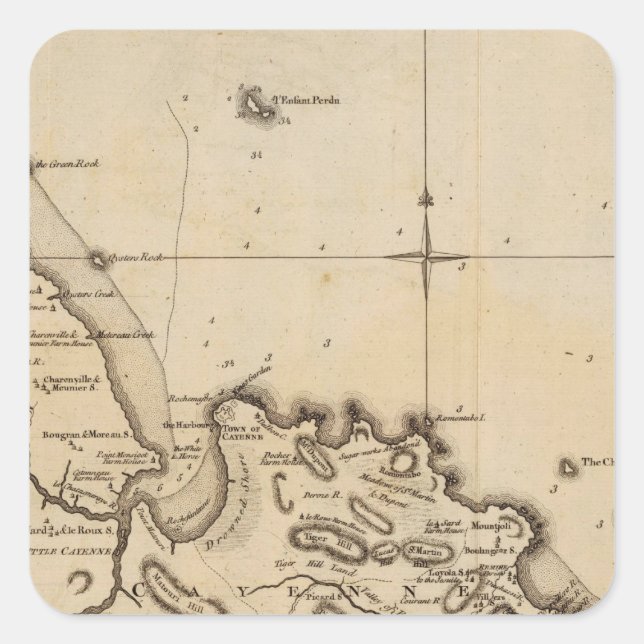 Cayenne 2 square sticker (Front)