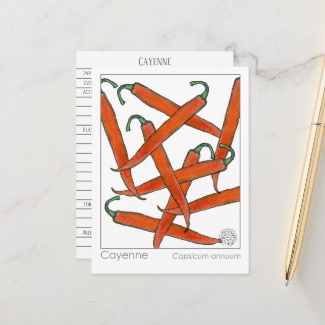 Cayenne Pepper Materia Medica Herbal Study Card (Front/Back In Situ)