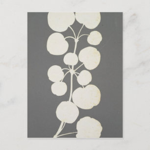 Cayenne Pepper Postcard