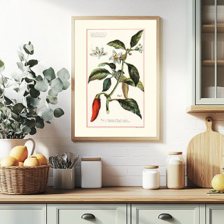 CAYENNE - VINTAGE BOTANICAL ILLUSTRATION POSTER