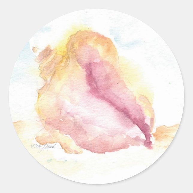Cayman Conch Watercolor Sticker (Front)