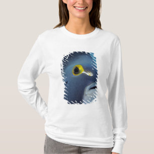Cayman Islands, French Angelfish Pomacanthus T-Shirt