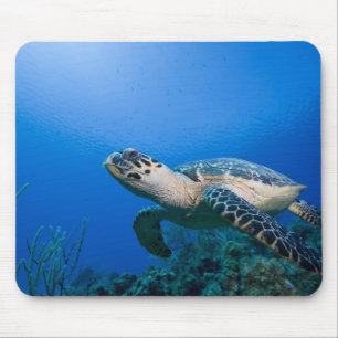 Cayman Islands, Little Cayman Island, Underwater 2 Mouse Mat