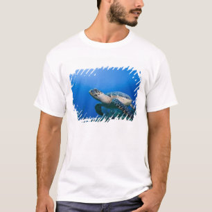 Cayman Islands, Little Cayman Island, Underwater 2 T-Shirt