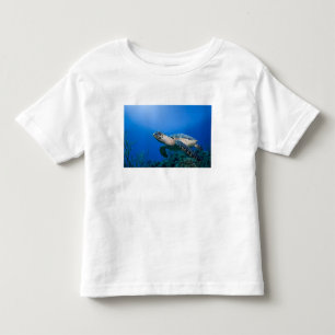 Cayman Islands, Little Cayman Island, Underwater 2 Toddler T-Shirt