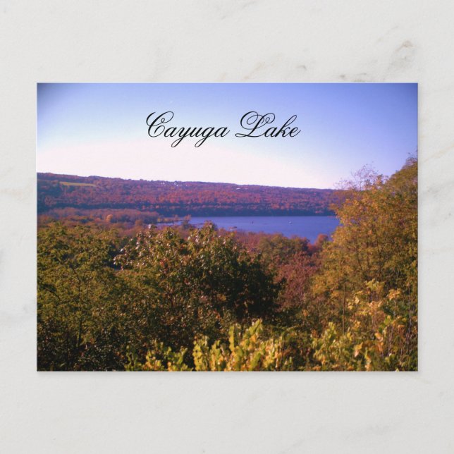 CAYUGA LAKE IN AUTUMN  postcard (Front)