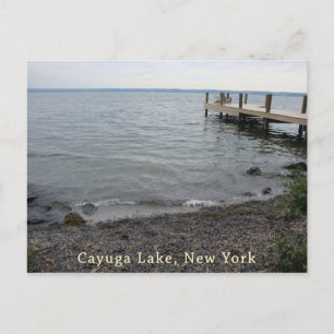 Cayuga Lake Rocky Beach Postcard