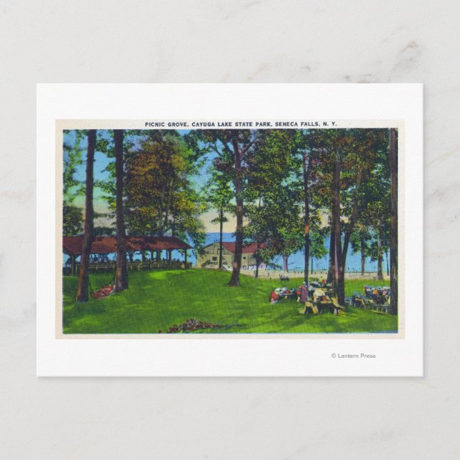 Cayuga Lake State Park Scene Postcard (Front)