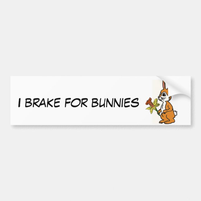 CB- I Brake for Bunnies Bumper Sticker (Front)