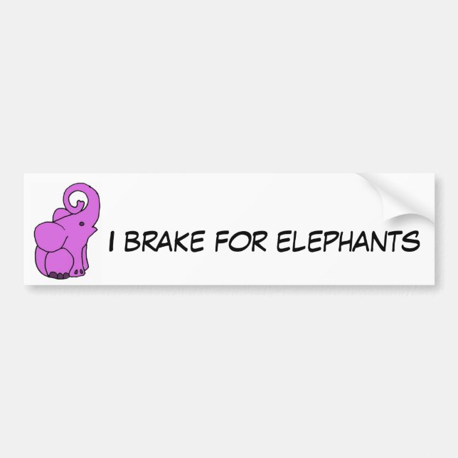CB- I brake for elephants bumper sticker (Front)