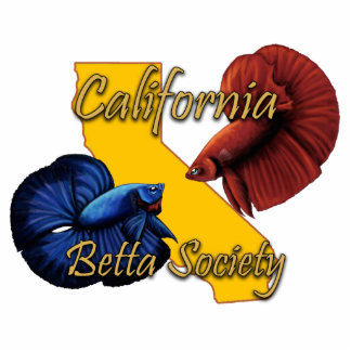 CBS Magnet Photo Sculpture Magnet