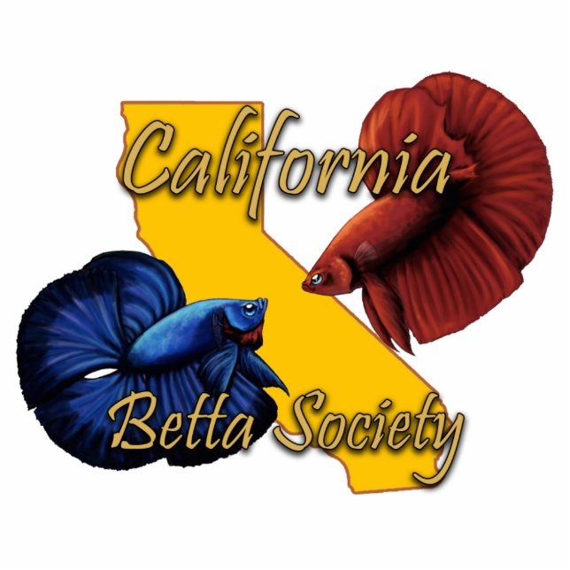 CBS Magnet Photo Sculpture Magnet (Front)